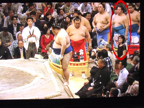 大相撲　夏場所　遠藤　2015