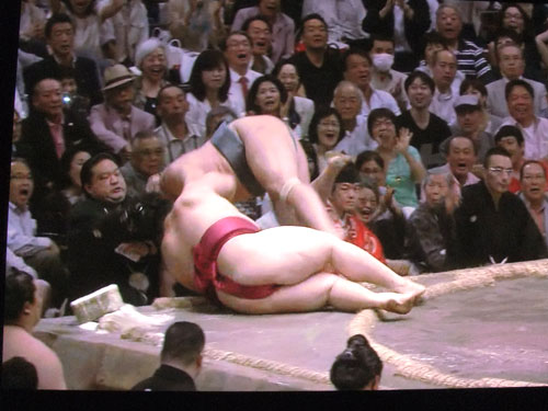 大相撲　夏場所　遠藤　2015