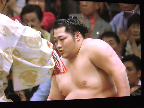 大相撲　夏場所　遠藤　2015