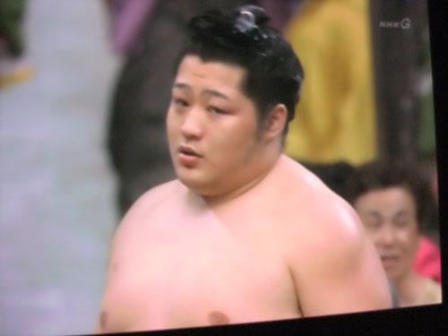 大相撲　夏場所　遠藤　2015