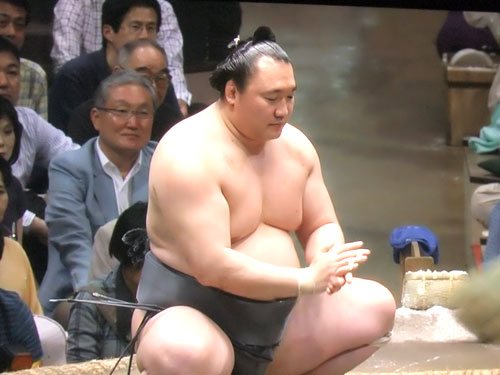 大相撲　夏場所　遠藤　2015