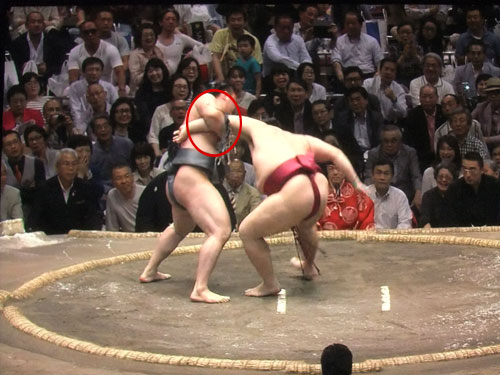 大相撲　夏場所　遠藤　2015