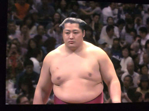 大相撲　夏場所　遠藤　2015