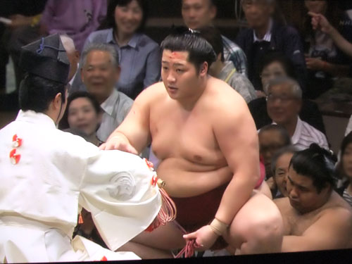 大相撲　遠藤　千代丸　夏場所