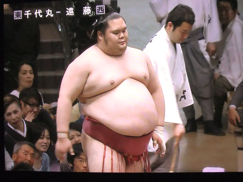 大相撲　遠藤　千代丸　夏場所