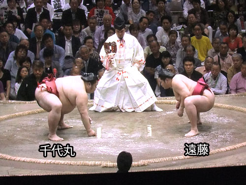 大相撲　遠藤　千代丸　夏場所