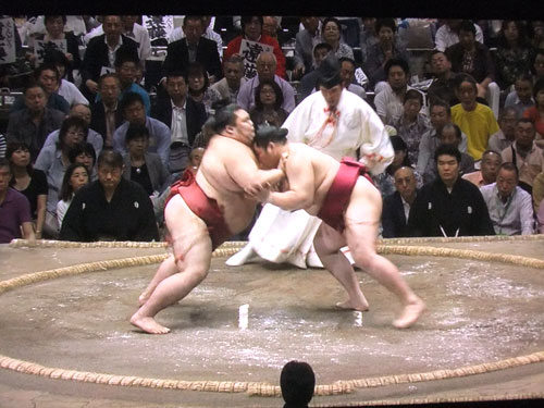 大相撲　遠藤　千代丸　夏場所