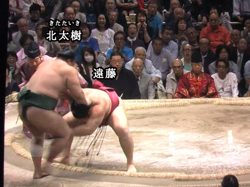 大相撲　遠藤　北太樹　夏場所