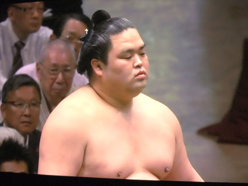 大相撲　妙義龍　夏場所