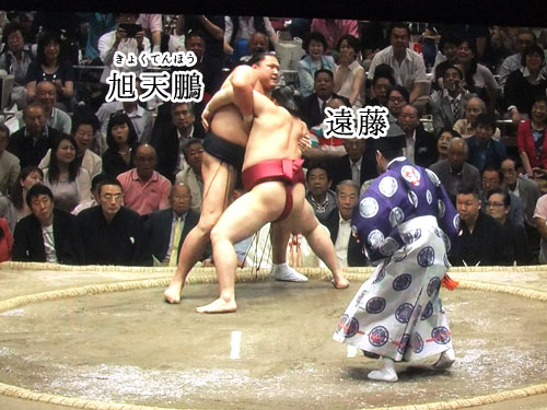 大相撲　遠藤　夏場所　膝