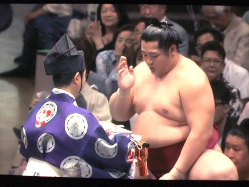 大相撲　遠藤　夏場所　膝