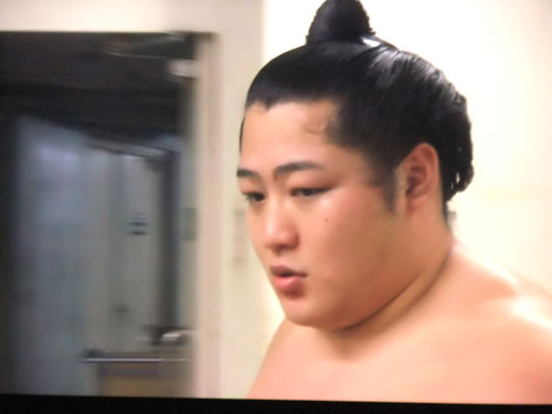 大相撲　遠藤　夏場所　膝