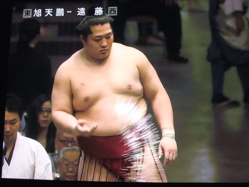 大相撲　遠藤　夏場所　膝