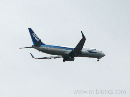 フライトレーダー24 飛行機 ANA 名古屋発、旭川着