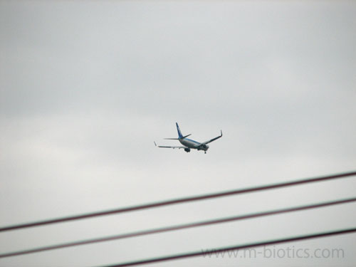 フライトレーダー24　飛行機 ANA 名古屋発、旭川着