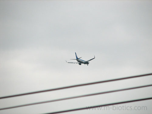 フライトレーダー24 飛行機 ANA 名古屋発、旭川着