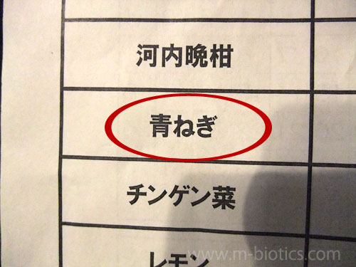 青ネギ ヌタ