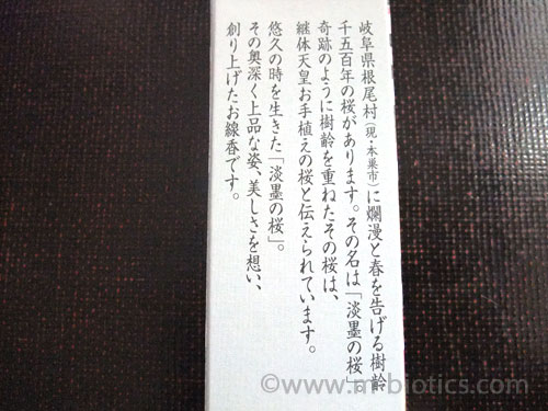 淡墨の桜 線香