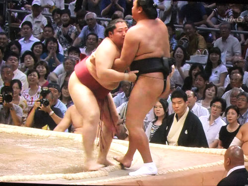 大相撲　遠藤　旭天鵬　名古屋場所