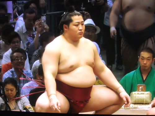 大相撲　遠藤　名古屋場所