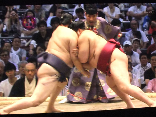 大相撲　遠藤　時天空　名古屋場所2015