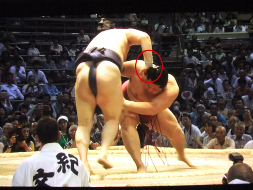 大相撲　遠藤　時天空　名古屋場所2015