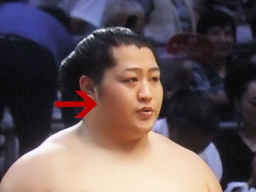 大相撲　遠藤　時天空　名古屋場所2015