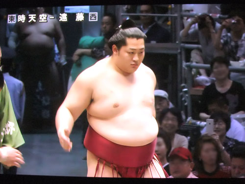 大相撲　遠藤　時天空　名古屋場所2015