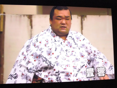 大相撲　豊響　浴衣