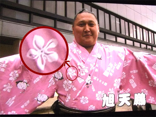 日本相撲協会 | 【初企画！】大相撲五月場所 浴衣の柄紹介 その1