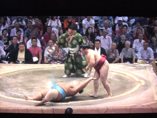 大相撲　遠藤　名古屋場所　勝ち越し　2015