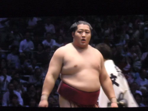 大相撲　遠藤　名古屋場所　勝ち越し　2015