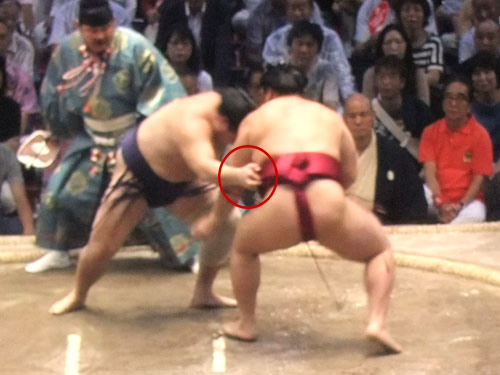 大相撲　遠藤　名古屋場所　2015