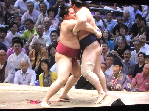 大相撲　遠藤　名古屋場所　2015