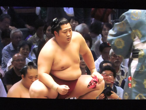 大相撲　遠藤　名古屋場所　2015