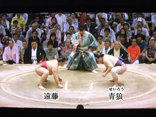 大相撲　遠藤　名古屋場所　2015