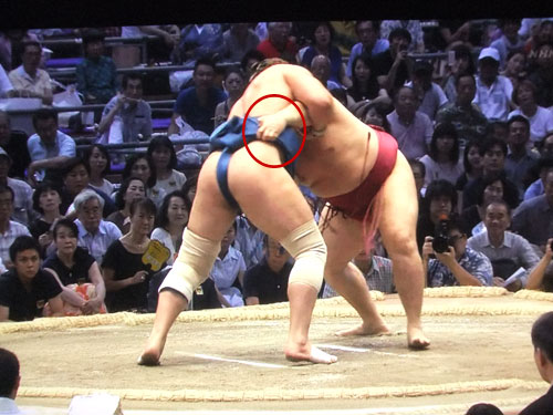 大相撲　遠藤　阿夢露　名古屋場所