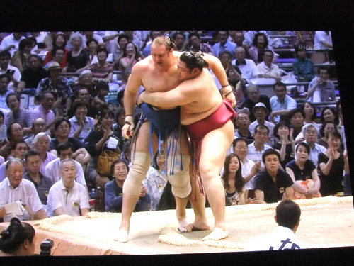 大相撲　遠藤　阿夢露　名古屋場所