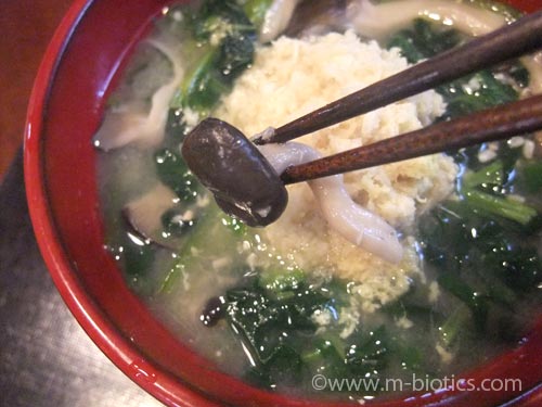 霜降りひらたけ の味噌汁が美味しい 噛むと旨味がにじむ 健康探究ブログ