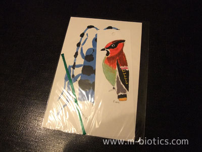 あべ弘士 絵はがき