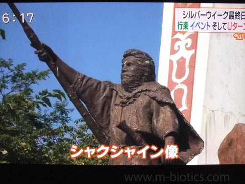 シャクシャイン法要祭 囲炉裏 鮭