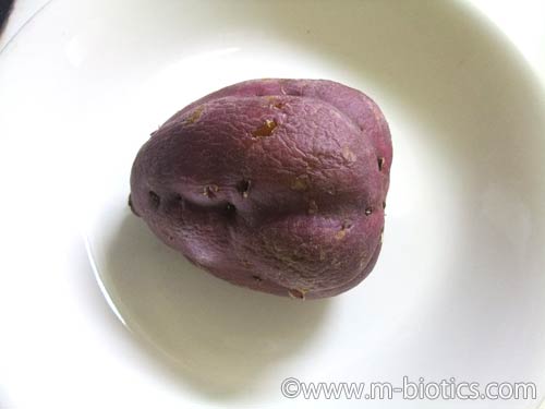 ふかしさつまいも 坂出金時