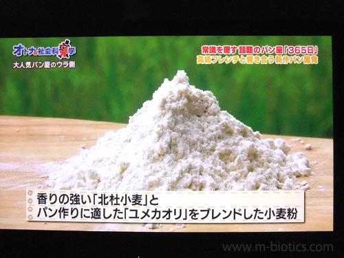 365日 パン 北杜小麦