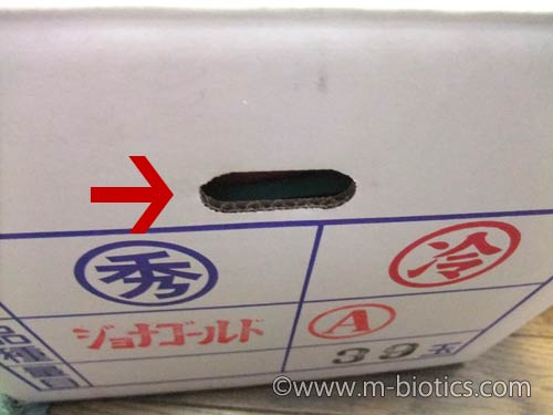 竹嶋 有機りんご