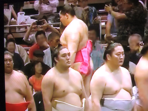 大相撲】遠藤の「永谷園化粧まわし」第三弾はピンク！ - 大相撲
