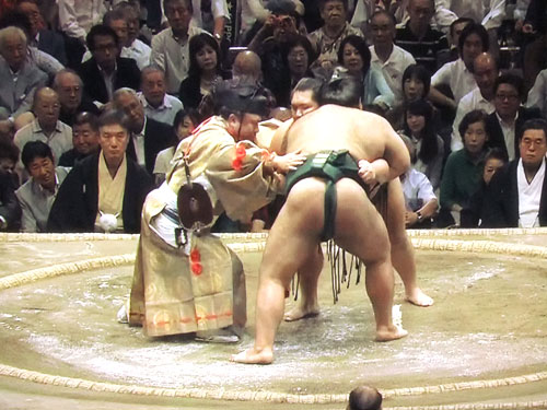 廻し待った 千代大龍 高安 木村玉治郎