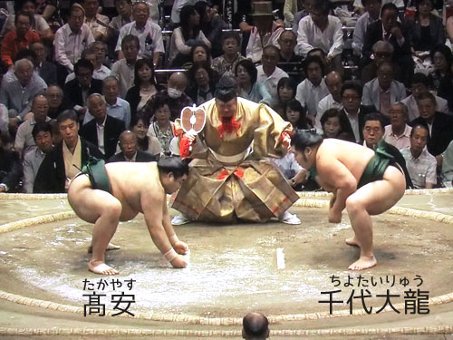 廻し待った 千代大龍 高安 木村玉治郎