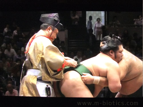 廻し待った 千代大龍 高安 木村玉治郎