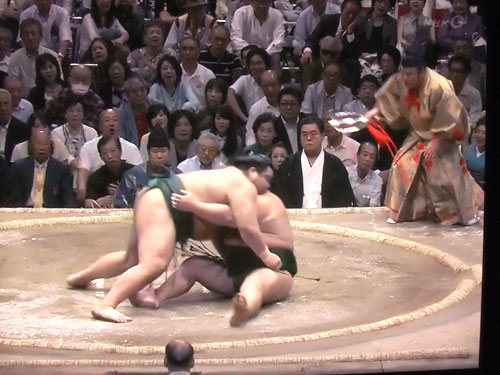 廻し待った 千代大龍 高安 木村玉治郎