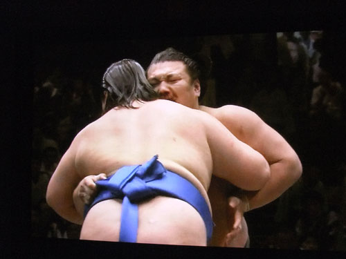 大相撲　逸ノ城　勢